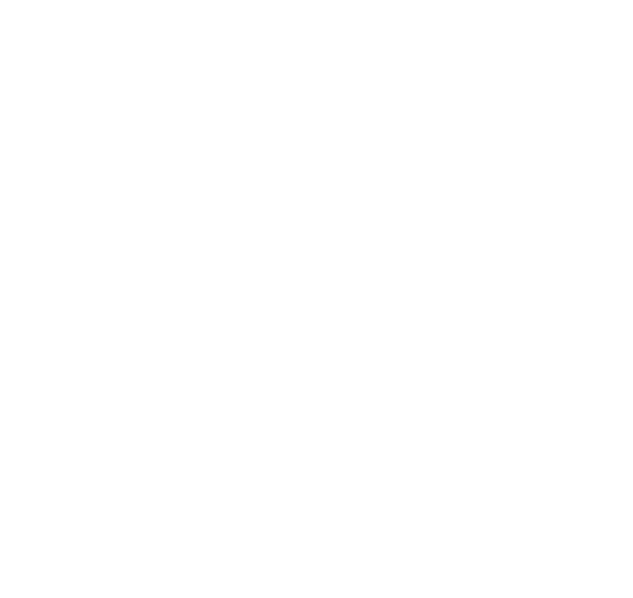 To maintain our position as a trustworthy national and international leader in supply chain optimization for our clie   