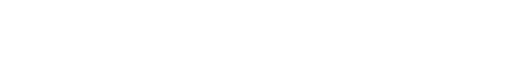 Custom solutions for international business 